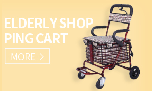 Elderly shopping cart